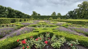 Garden path in Kongens Have with purple and green planting borders.
