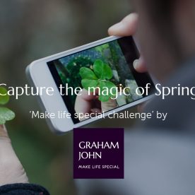 Hands holding a fresh green leaf while photographing it outdoors — capturing the magic of spring.