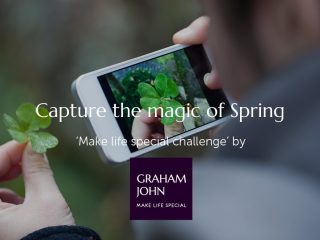 Hands holding a fresh green leaf while photographing it outdoors — capturing the magic of spring.
