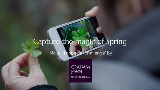 Hands holding a fresh green leaf while photographing it outdoors — capturing the magic of spring.